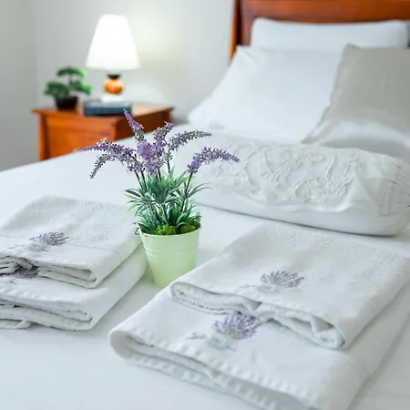 Гостевой дом House Babina *